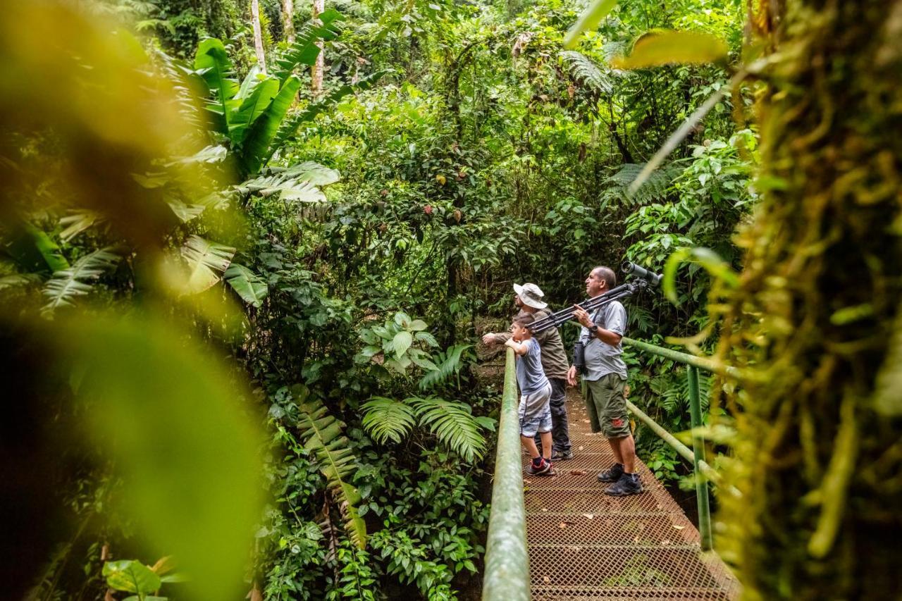 Lost Iguana Resort And Spa La Fortuna Екстер'єр фото